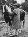 my horse and me