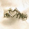 a horse ring with a heart center